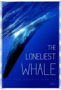 Самый одинокий кит на планете: в поисках Пятидесятидвухгерцового кита (2021) смотреть онлайн